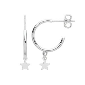 Crescent Star Earrings