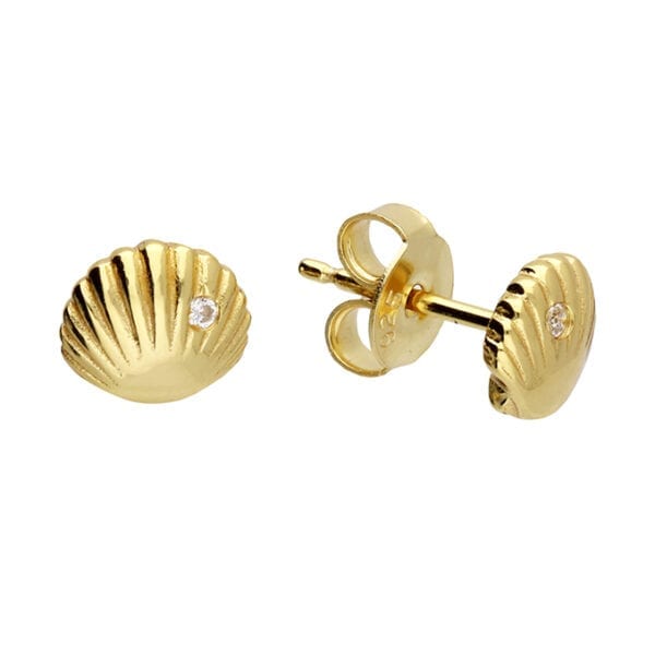 clam shell stud earrings
